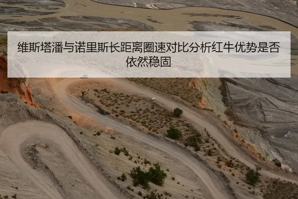 维斯塔潘与诺里斯长距离圈速对比分析红牛优势是否依然稳固