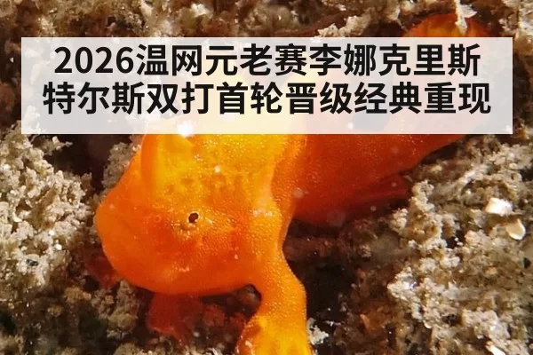 2026温网元老赛李娜克里斯特尔斯双打首轮晋级经典重现